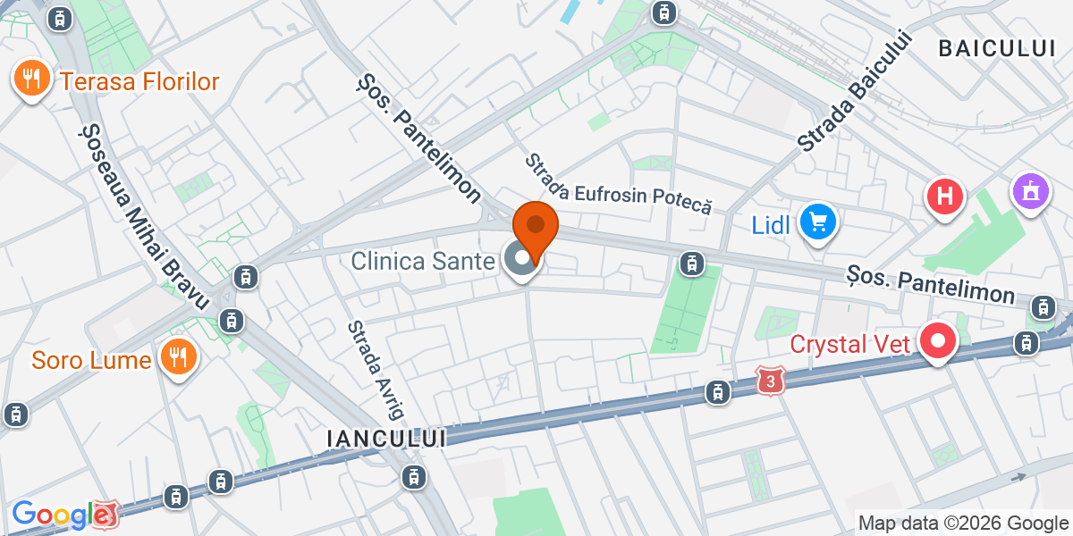 Hartă - Strada Măgura Vulturului 106, București